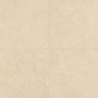 16923_31033_bg_14488