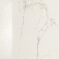 16923_38461_bg_14958