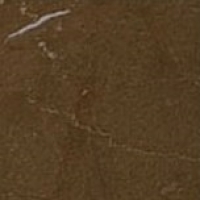 16923_38521_bg_14993