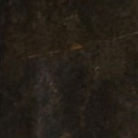 16923_38522_bg_14529