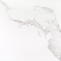 17013_40617_bg_21426