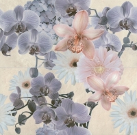 30339_73150_bg_17272