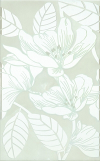 30491_73550_bg_21764