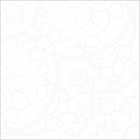 31371_75803_bg_13773