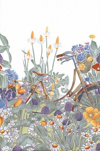 31494_76223_bg_18489