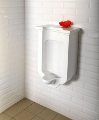 31529_251348_bg_11502