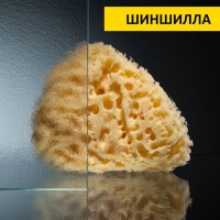 73328_437954_bg_25519