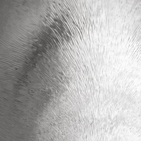 73329_211620_bg_25523